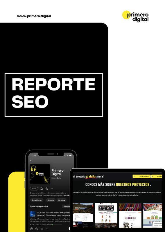 Protocolo Digital: Reporte SEO