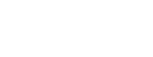 Logo Ines